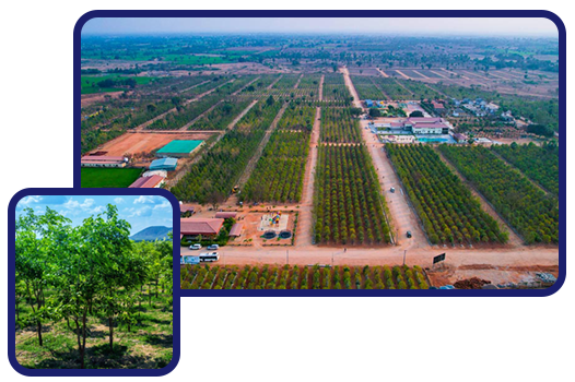 real estate template