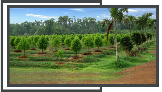 real estate template